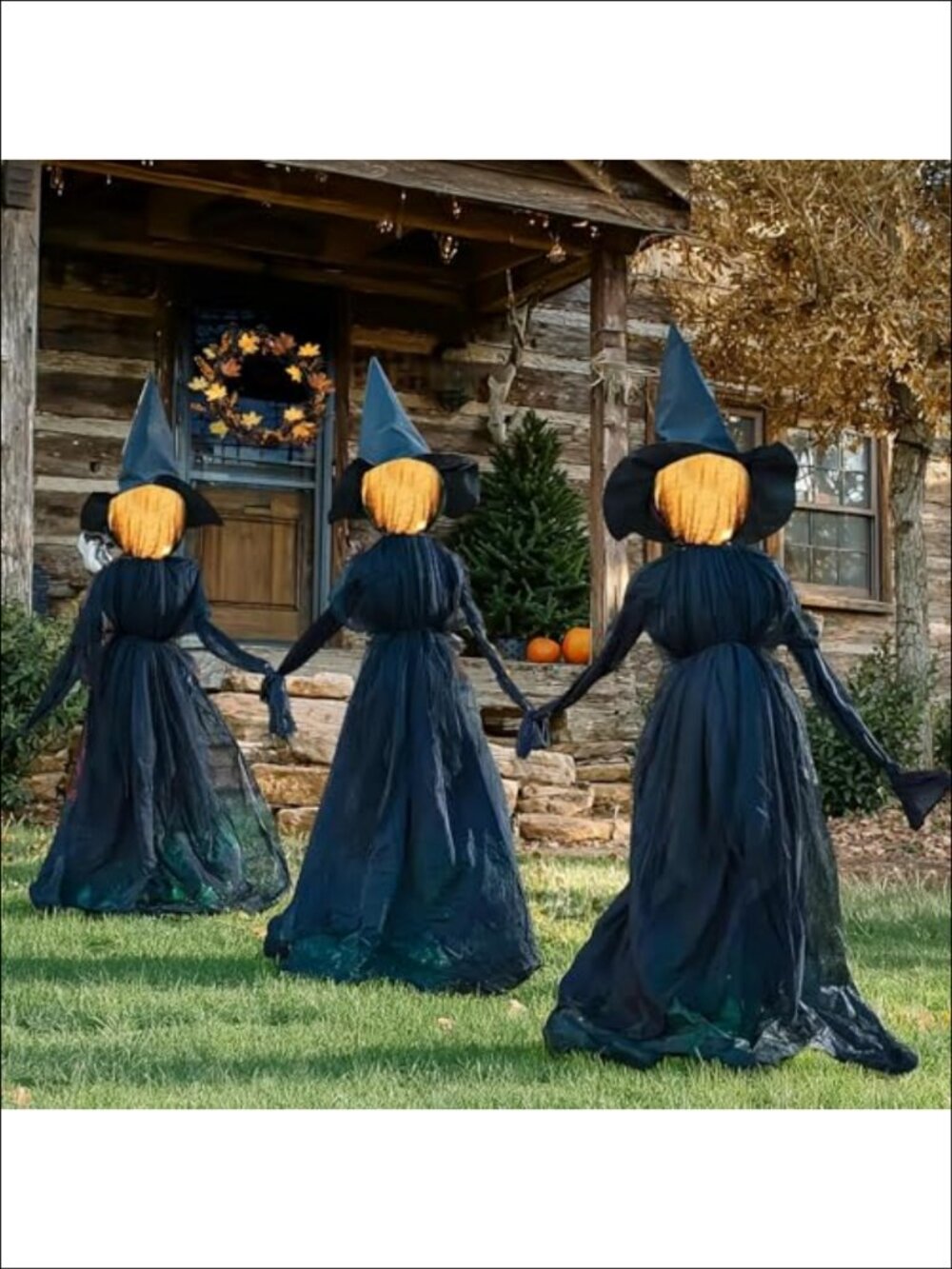 5 FT Light Up Halloween Witch Stakes Set of 3 Outdoor Decor, Battery Operated